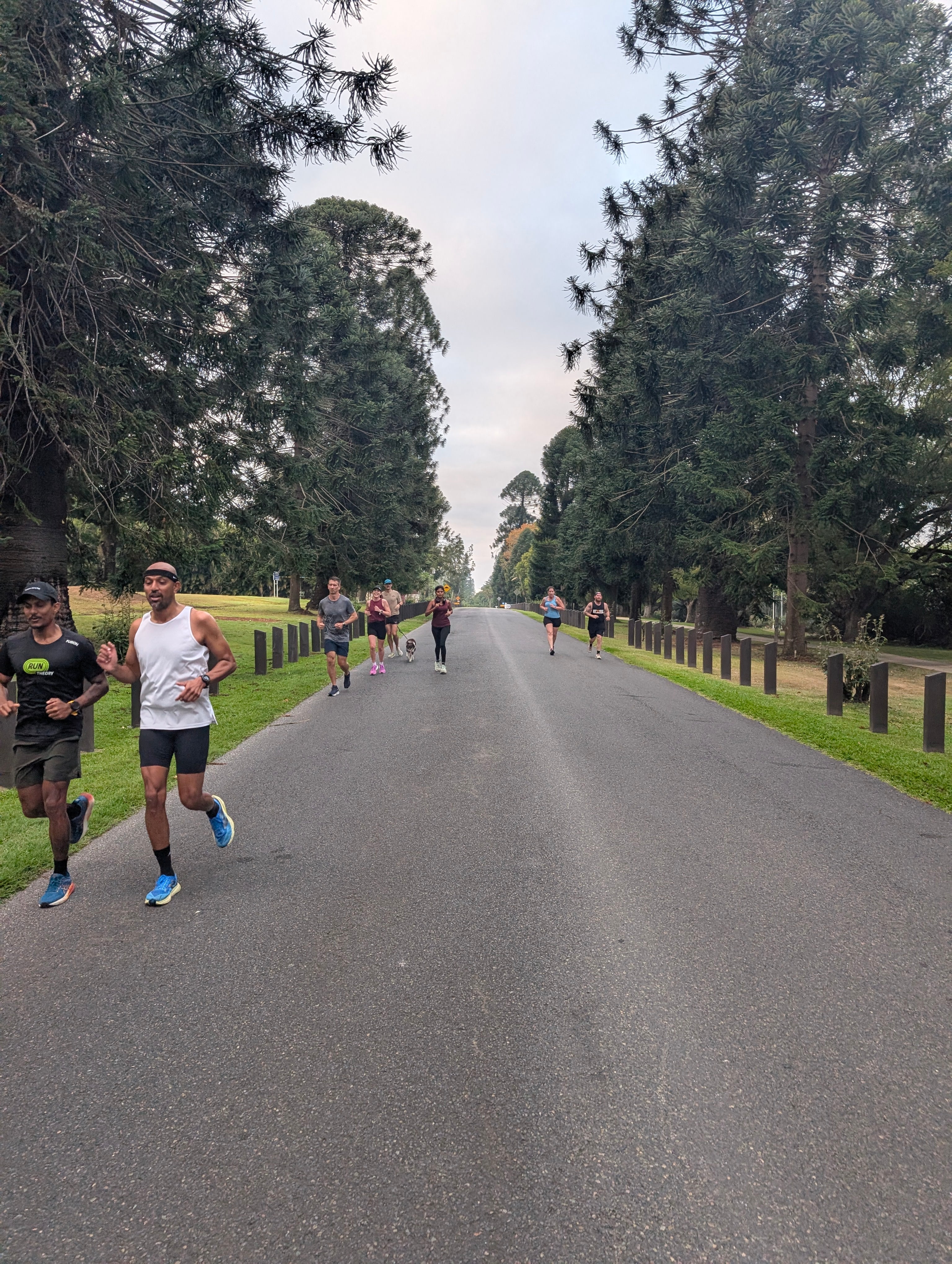 Run Theory free Tuesday Run Club